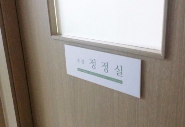 느티나무 사진4