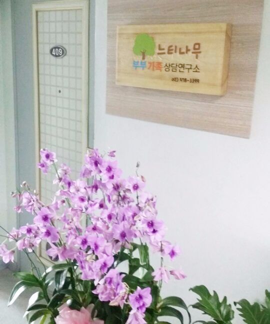 느티나무 사진7