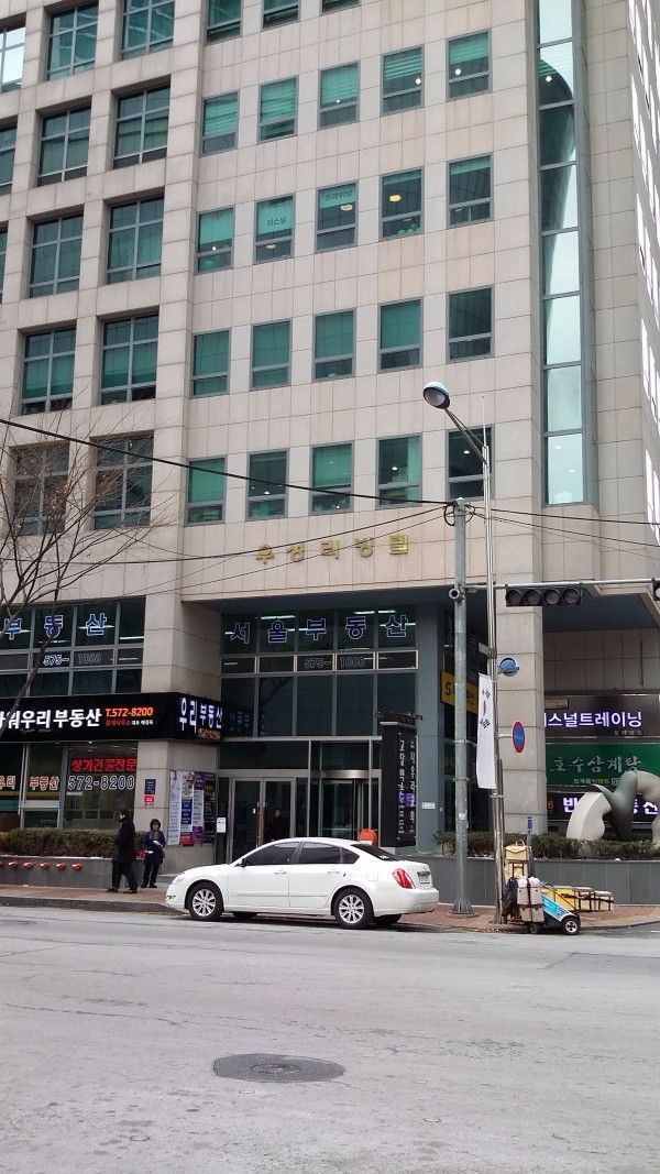 느티나무 사진17